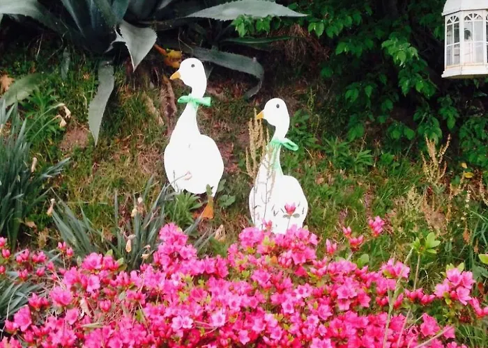 'casa Domenica' Mit Blick Aufs Wasser By Interhome Apartman Gravedona